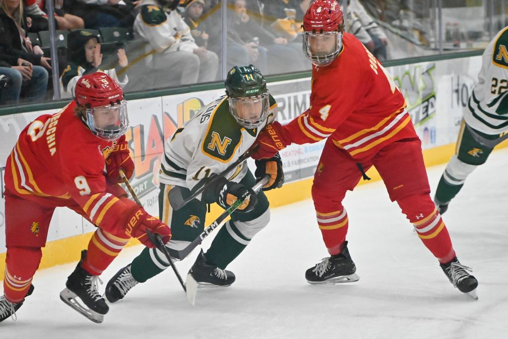Ferris State hockey playing against Northern Michigan